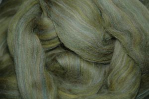Daily Fiber Daily Fiber